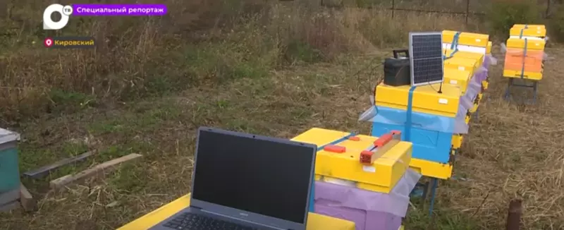 Спецрепортаж. Медовые перспективы