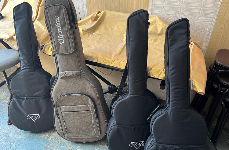 Юные музыканты и художники из Кировского округа Приморь...