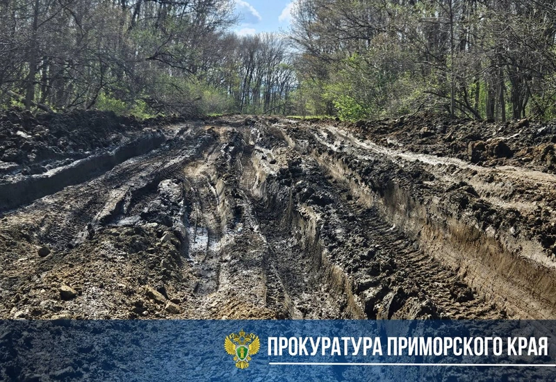 Прокуратура инициировала проверку по факту ненадлежащего содержания дороги, ведущей к селу Афанасьевка Кировского муниципального округа