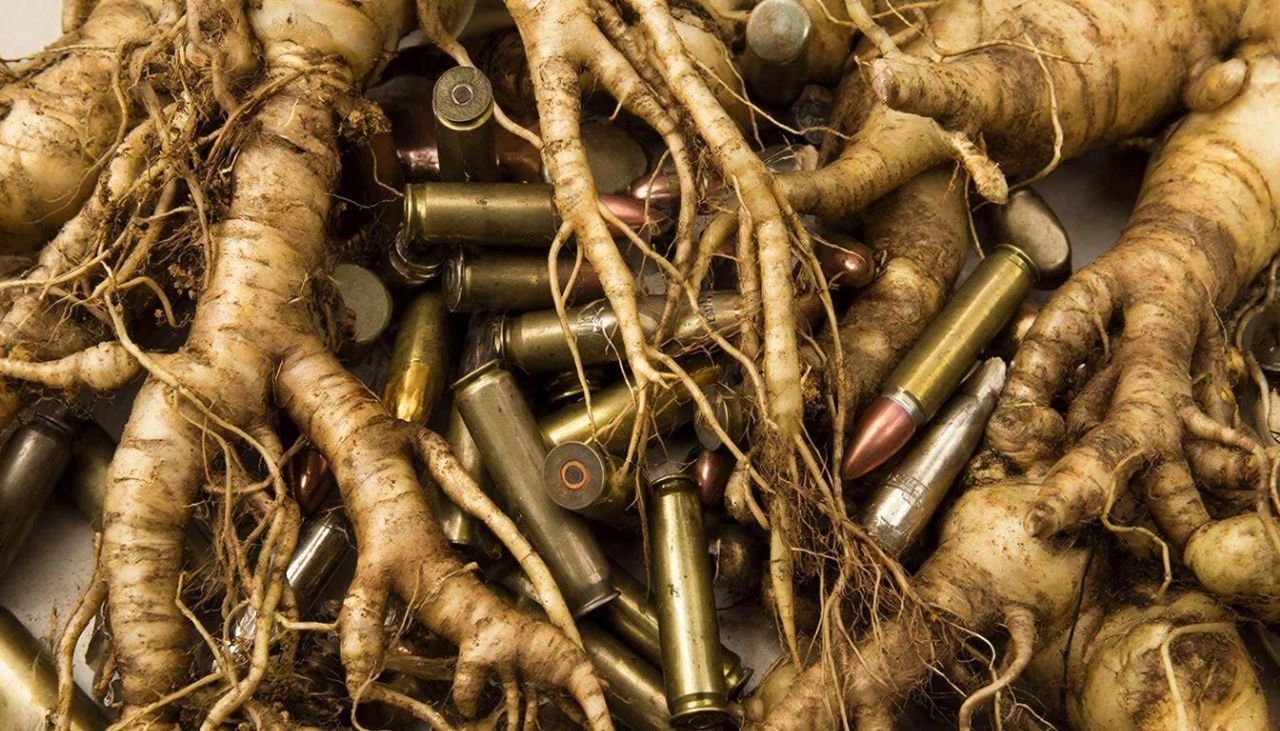 Прокуратура завершила расследование дела о незаконной добыче редкого растения и хранении боеприпасов