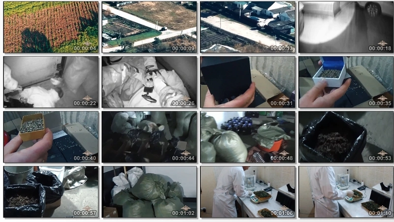 У жителя Кировского округа изъяли более 160 кг марихуаны