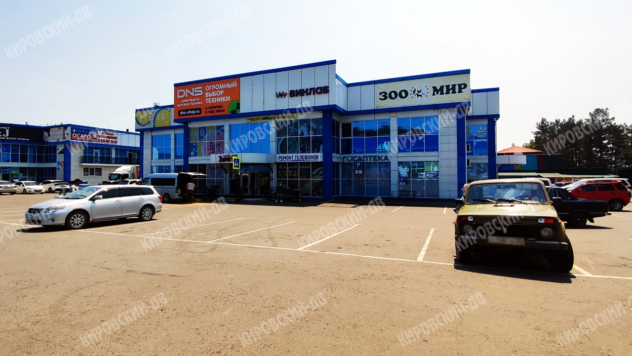 Мобил-Сервис в пгт. Кировский