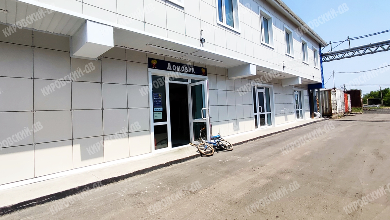 Домовик в пгт. Кировский